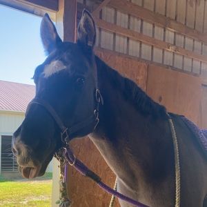 Meet your Posher, Aaliyah